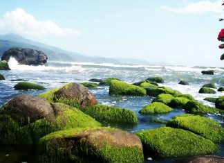 Điểm danh 5 địa điểm du lịch nổi tiếng nhất có ở Đà Nẵng Điểm danh 5 địa điểm du lịch nổi tiếng nhất có ở Đà Nẵng