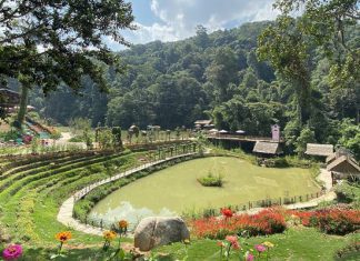 Điểm du lịch Đà Lạt: Khám phá Hoa Sơn Điền Trang có gì thú vị? Điểm du lịch Đà Lạt: Khám phá Hoa Sơn Điền Trang có gì thú vị?