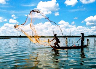 Tour du lịch Cà Mau: Chinh phục cực Nam của Tổ Quốc Tour du lịch Cà Mau: Chinh phục cực Nam của Tổ Quốc