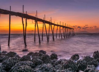 Tour du lịch hè 2021 ở miền Nam có gì hấp dẫn du khách? Tour du lịch hè 2021 ở miền Nam có gì hấp dẫn du khách?