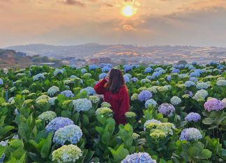 Tour du lịch nội địa 2021 nên đi những điểm đến nào? Tour du lịch nội địa 2021 nên đi những điểm đến nào?