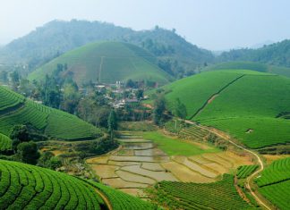 Du lịch Mai Châu nên đi mùa nào là đẹp nhất trong năm? Du lịch Mai Châu nên đi mùa nào là đẹp nhất trong năm?